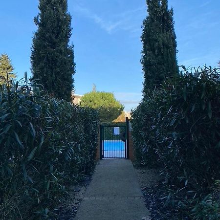 City Rose T2 Ensoleille-Piscine-Parking Prive -Fibre -Balcon Toulouse Eksteriør bilde
