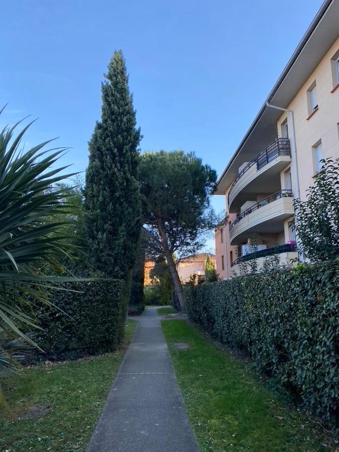 City Rose T2 Ensoleille-Piscine-Parking Prive -Fibre -Balcon Toulouse Eksteriør bilde